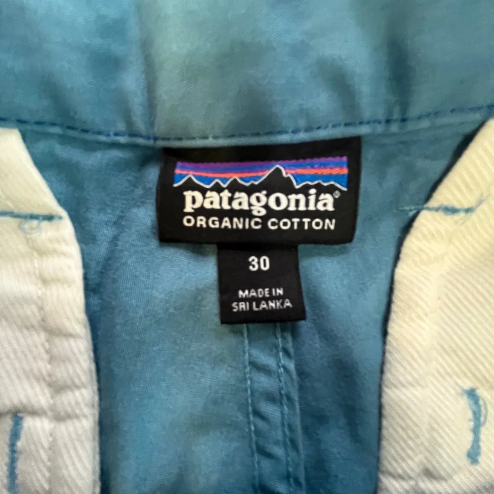 Patagonia Organic Cotton Chino Shorts Mens 30‎ Blue Green Teal Casual Outdoor